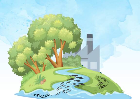 Participez à notre étude sur l’activité endocrinienne des effluents industriels !